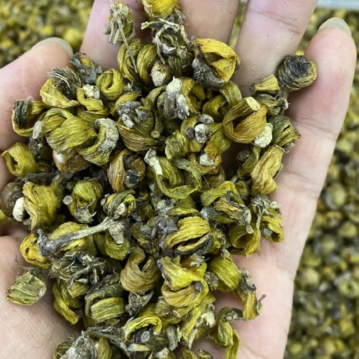 昆明 岩珠石斛枫斗大量供应