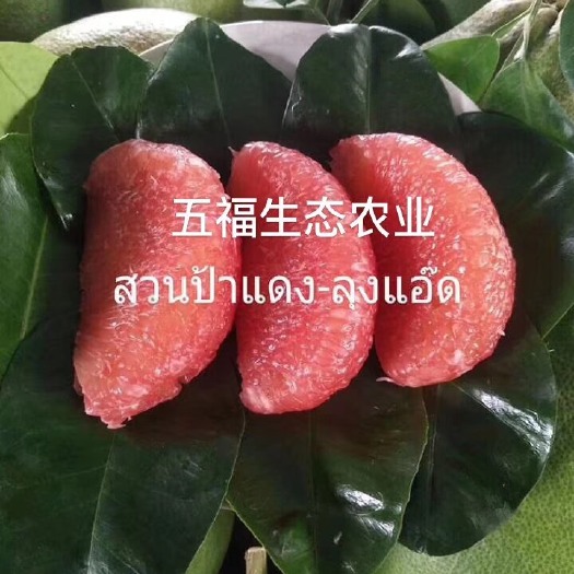 贺州红心柚  泰国红宝石柚子
