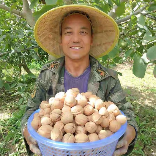 阿克苏市 疆阿克苏185纸皮核桃新货薄壳特产原味生手剥