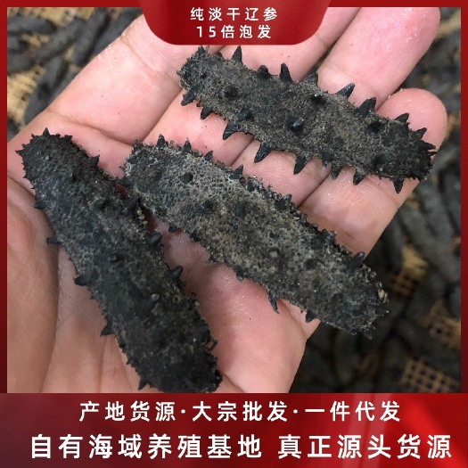 霞浦县干海参  厂家直销 福建纯淡干辽参40-80头 15倍泡发