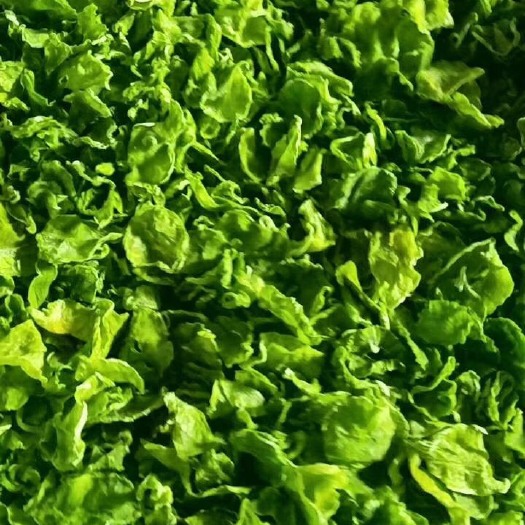 衡阳干莴笋  脱水蔬菜莴笋片