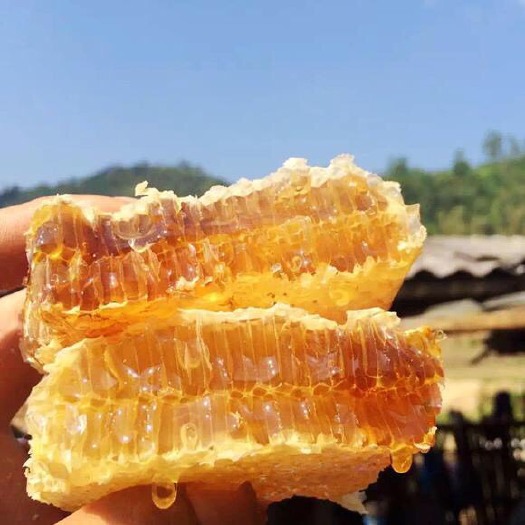 田林县百花蜜  天然蜂蜜