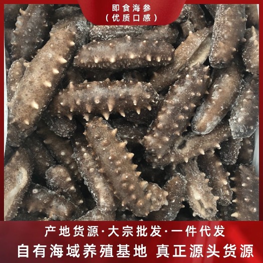 霞浦县霞浦海参 工厂批发 福建即食海参6-60头 口感好 高质量货