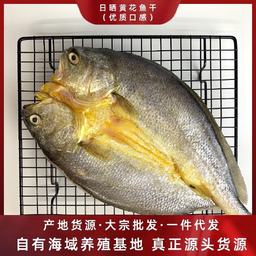 黄鱼干 一手货源厂家直销批发高品质黄花鱼干天然日