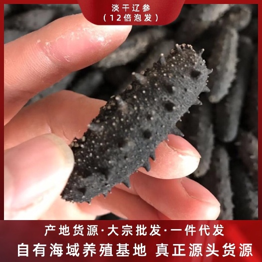 大连海参  一手货批发爆款6A辽参30-60头泡发12倍
