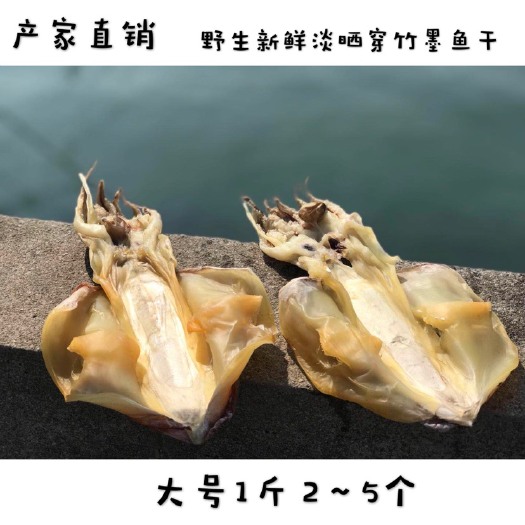 北海厂家直销平穿墨鱼干
