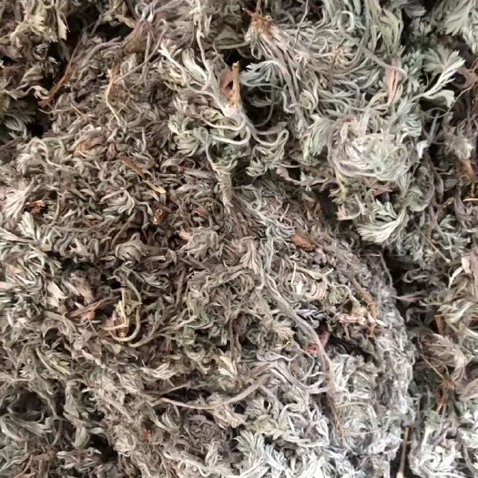 绵茵陈、两斤起发货、支持线上交易、量大从优