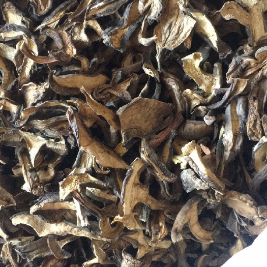 南华县美味牛肝菌 纯野生牛肝菌干片