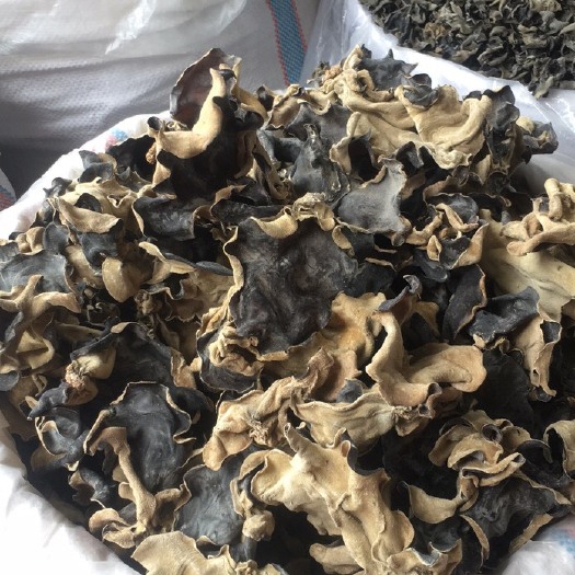 玉林【野生毛木耳500g】白背黑木耳 头茬大木耳脆木耳