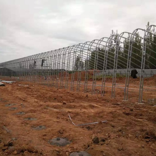 天津 养殖大棚。种植大棚。全套供应
