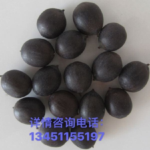 仙桃市湘莲  特级本年新太空莲