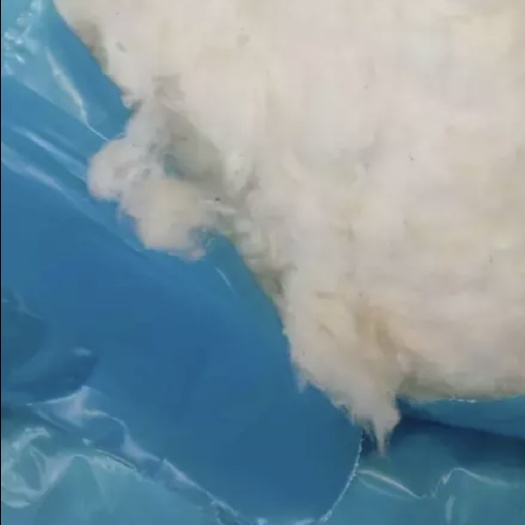 新疆优质长绒棉，当年新货，出厂价格，大量批发。杂质少，绒长高