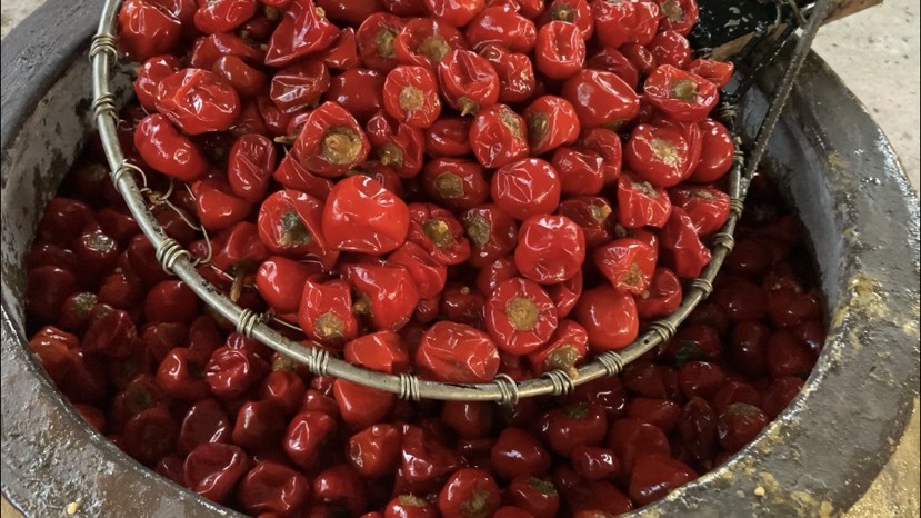 重庆市泡椒 泡辣椒批发 牛蛙泡椒 川菜调料红灯笼泡椒圆椒珠子泡椒