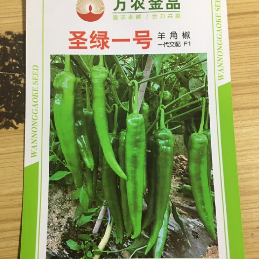 昆明羊角椒种子，牛角椒种子都有