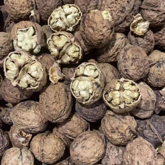 成都 云南核桃  云南麻子核桃