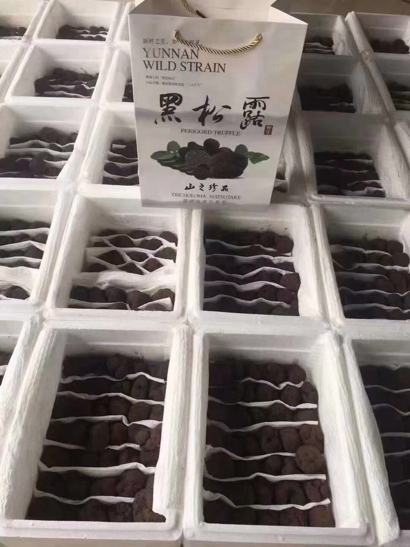 一件代发 菌类大球盖菇 姬松茸菇 赤松茸菌 11月开始