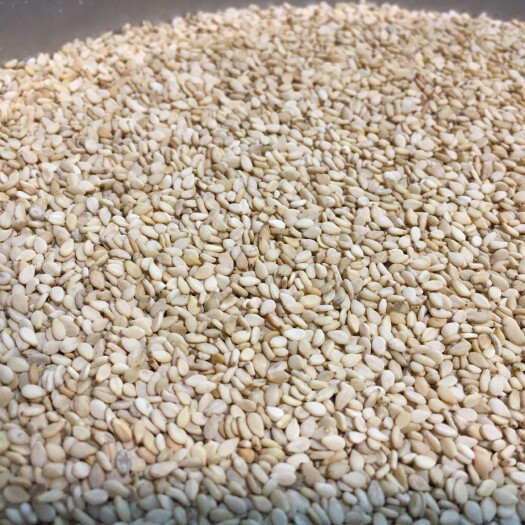 重庆市色选白芝麻