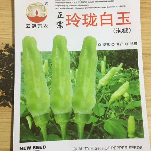 昆明泡椒种子，大果小果都有，