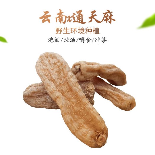 文山市昭通天麻  天麻云南昭通天然天麻可磨粉天然干货正品