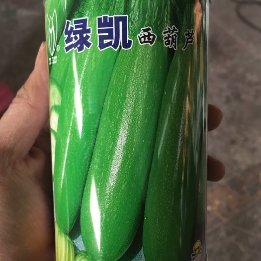 昆明绿皮西葫芦种子  绿凯西葫芦种子