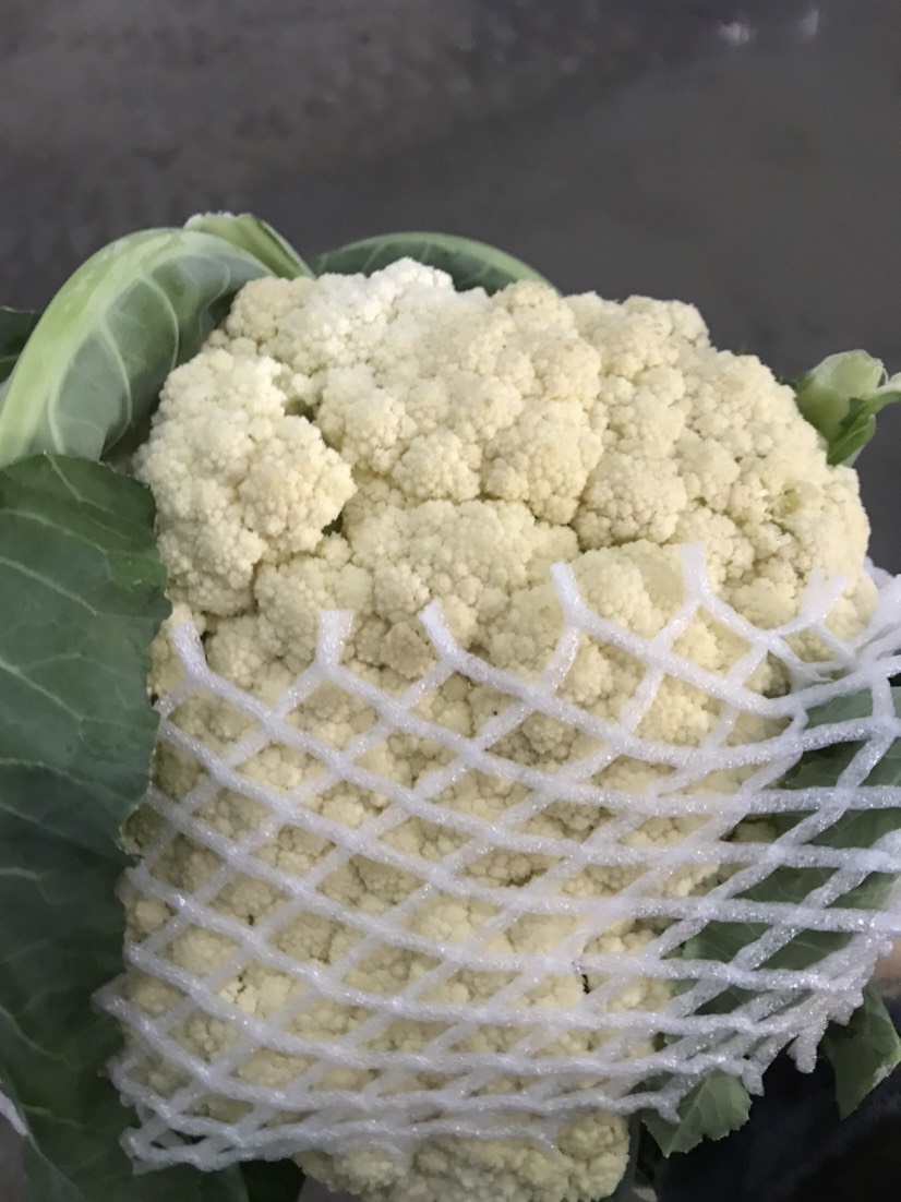  有机花菜
