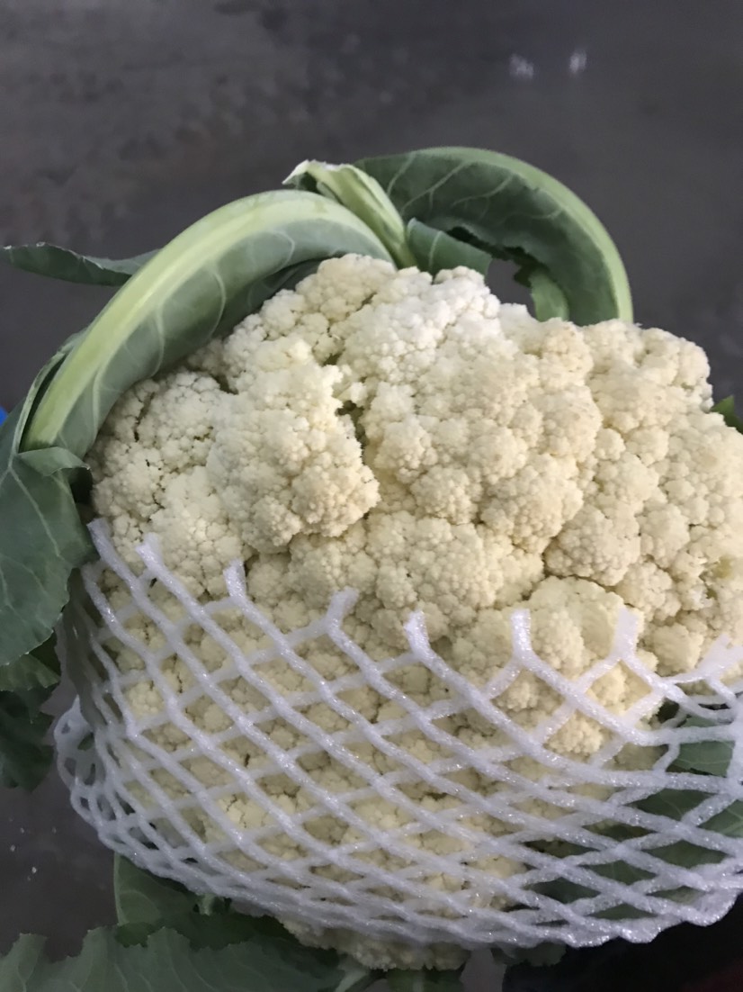  有机花菜