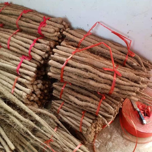 博爱县正宗焦作沙土铁棍山药产地直发正品淮山药怀山药手拣