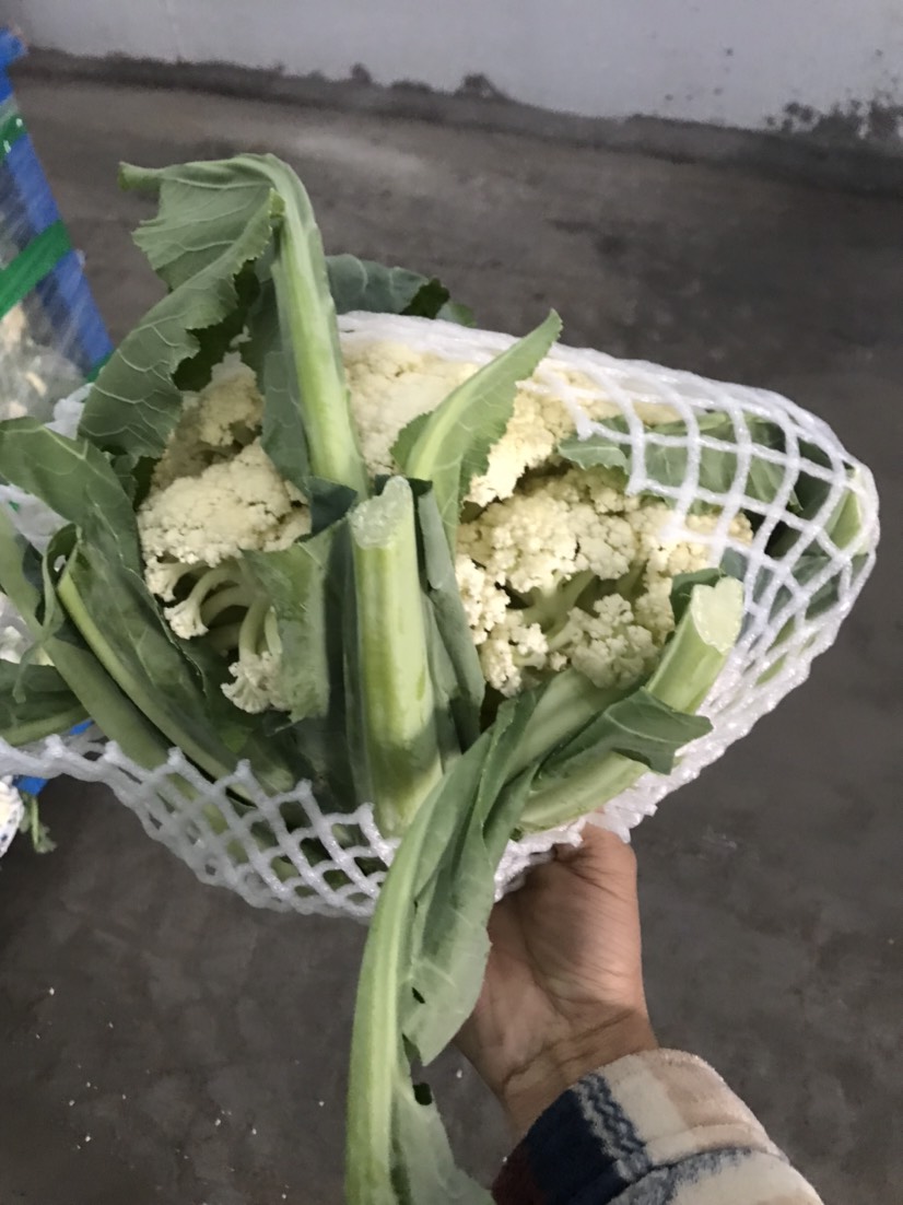  有机花菜