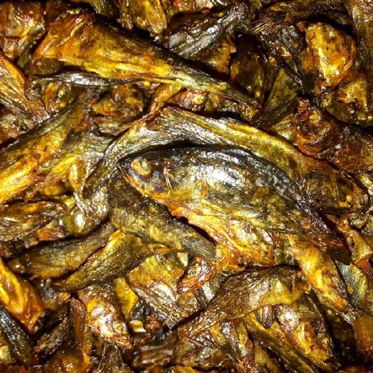 新化县桂鱼干  小鱼干