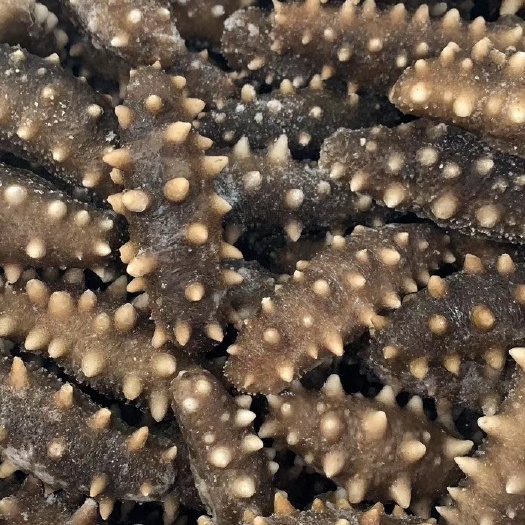 鲜食即食海参