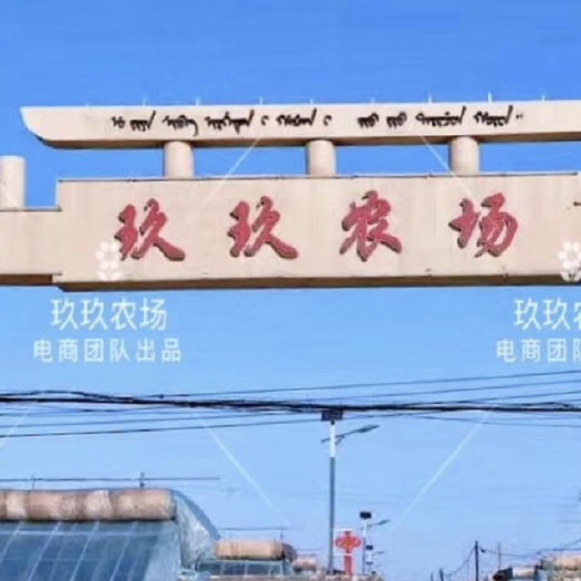 东港市红颜草莓  丹东玖玖草莓热卖中