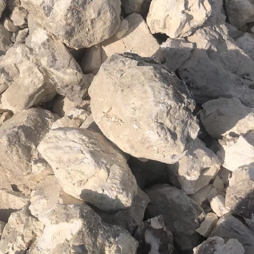 瑞金市 大量供应生石灰，石灰粉，用于果园打药，土壤改善，养殖场消毒。