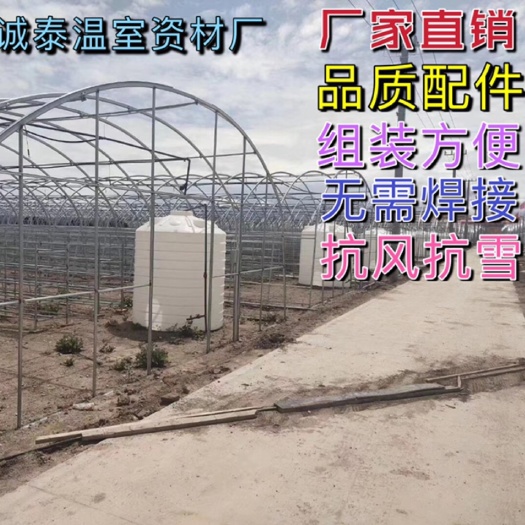 天津蔬菜大棚 瓜果大棚  食用菌棚  花卉大棚 钢管大棚