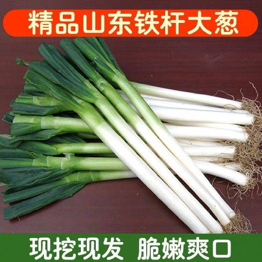 安丘市山东铁杆大葱新鲜长葱