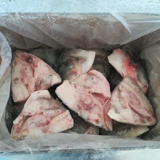 庄河市白鲢鱼  鲢鱼头，鲢鱼肉