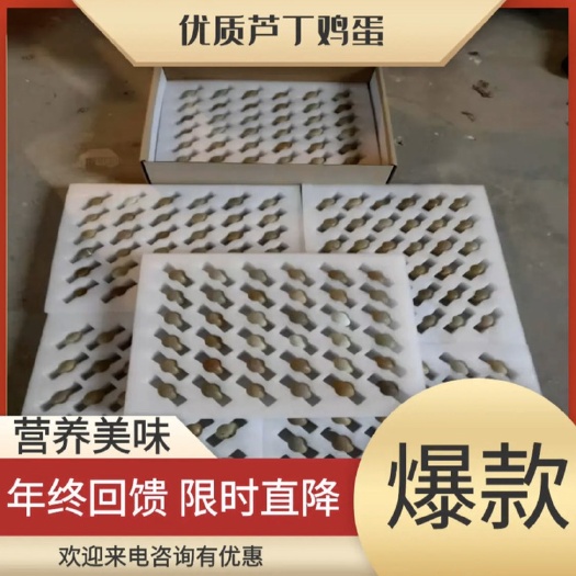 台州大量批发。变异芦丁鸡种蛋。商品蛋