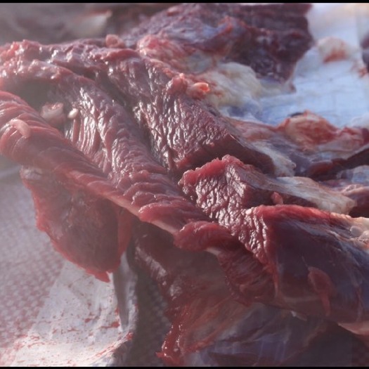 克什克腾绵羊肉  内蒙本地散养牛羊 草膘 每天都新鲜现杀 真空保鲜箱发货