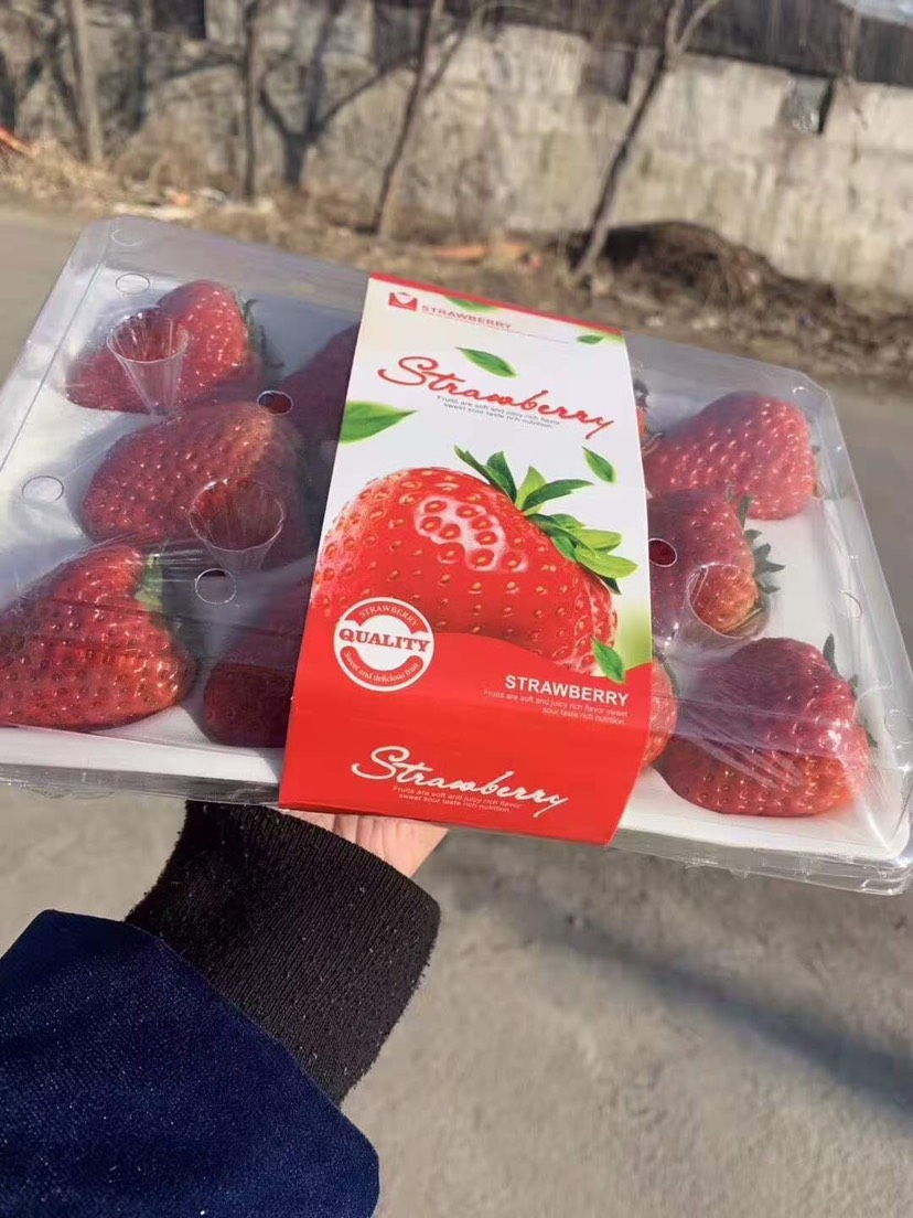 红颜草莓  丹东玖玖草莓大量上市各种各样包装满足新老顾客，商