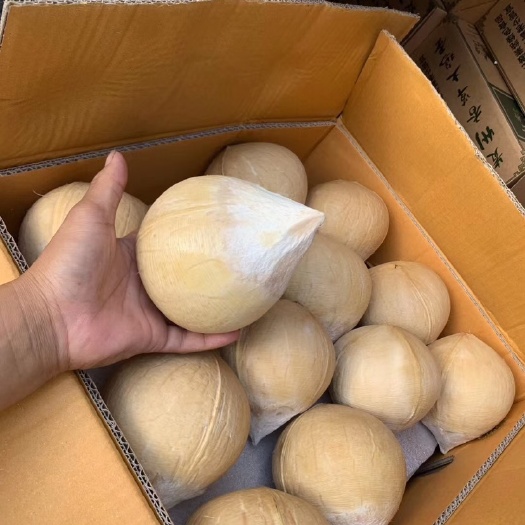 广州椰子  功夫牌泰国椰皇，个头均匀，椰汁清澈透白，果肉白嫩