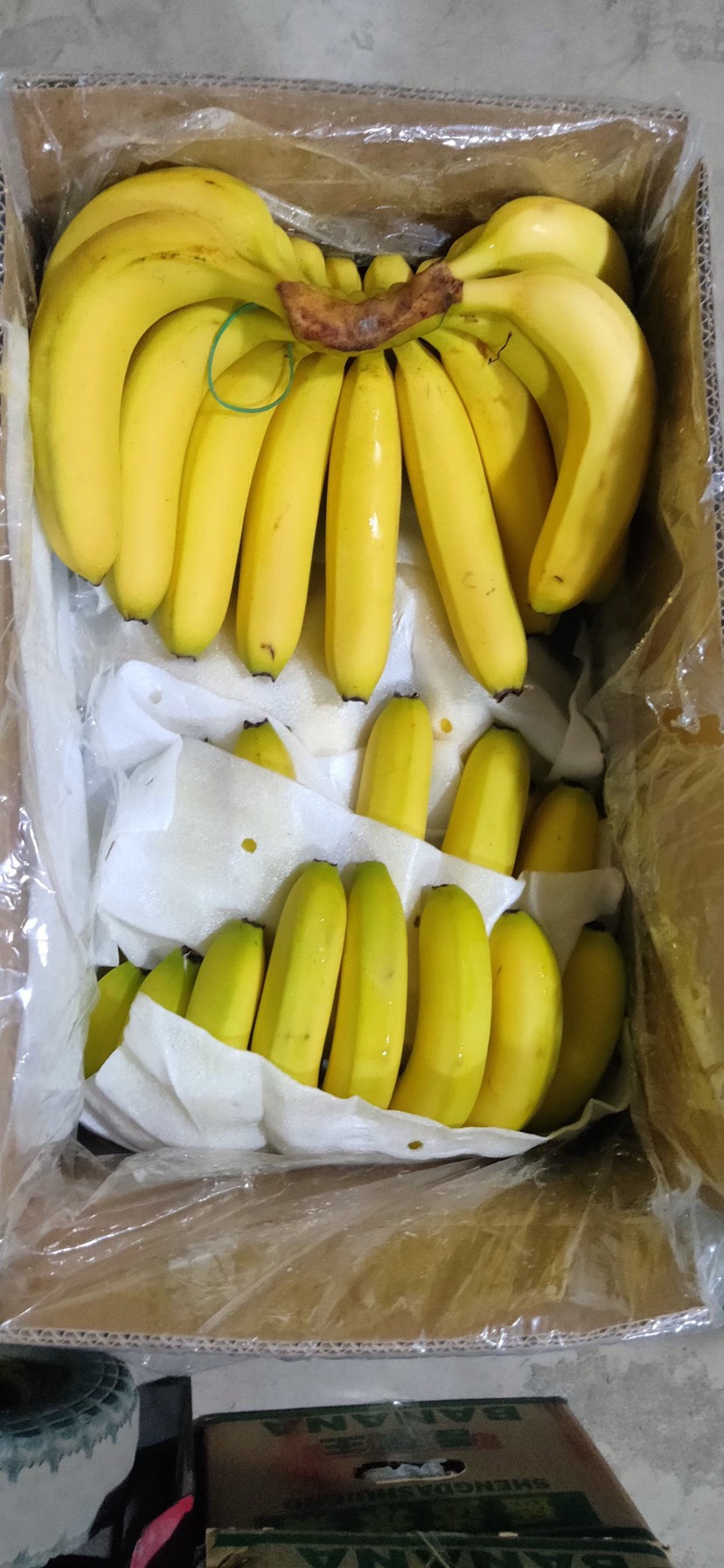 邯郸【推荐】云南香蕉 大量供应广西香蕉 云南香蕉 缅甸香蕉