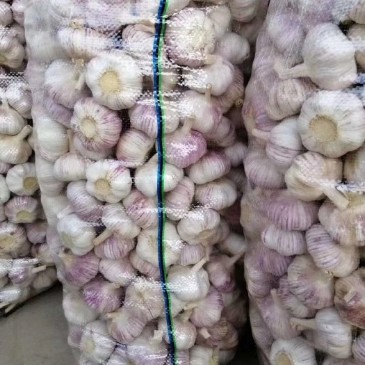 邳州市邳州精品全规格分级净蒜  原产地一手货源 质量保证