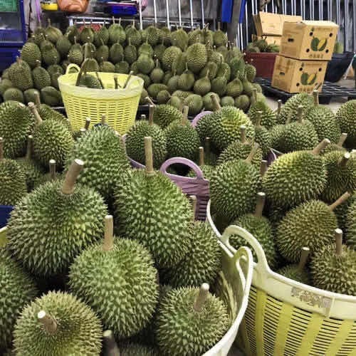 昆明金枕榴莲 一级 