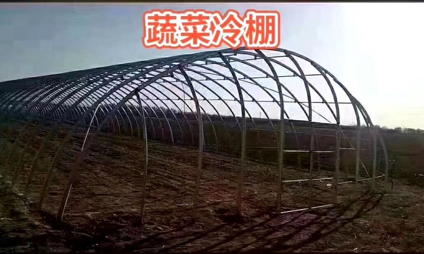 天津蔬菜大棚  免费预算，画图，专业设计大棚，蔬菜棚，养殖棚，