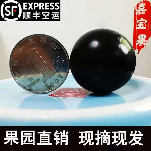 漳州嘉宝果水果树葡萄水果一件代发全国包邮