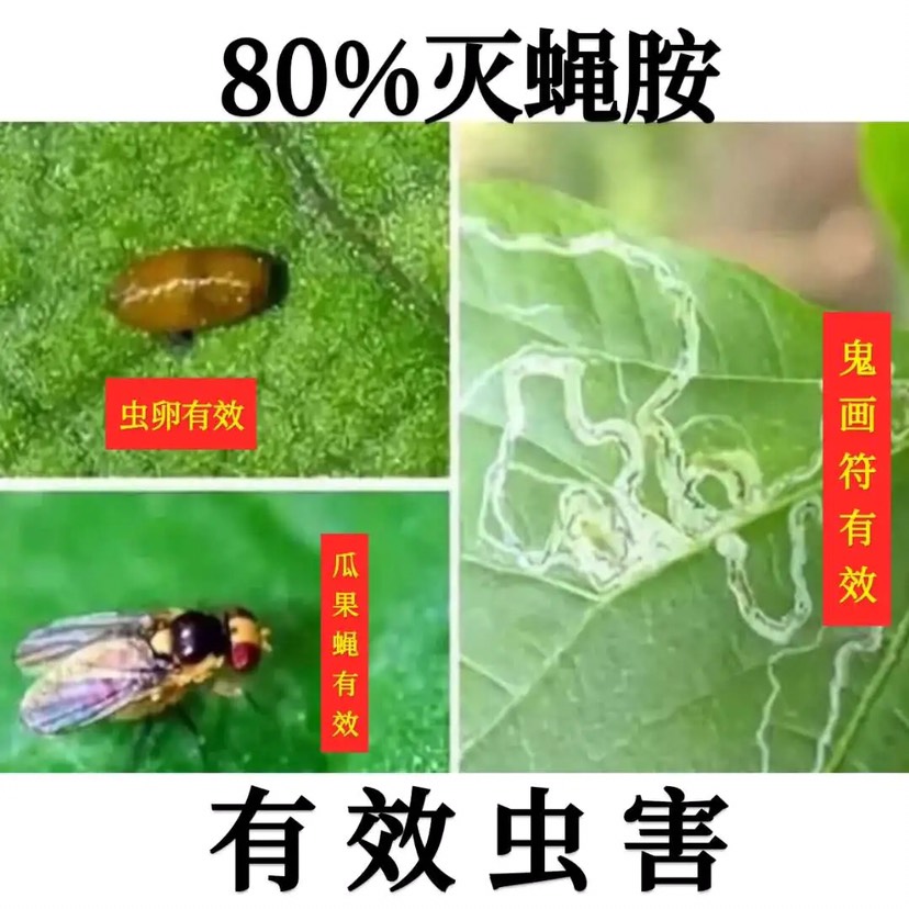 80%灭蝇胺 潜叶蛾鬼画符地图虫美洲斑潜蝇杀虫剂