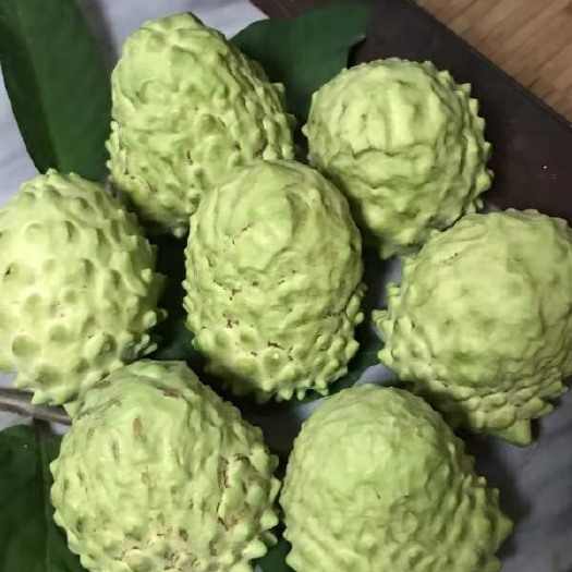 元谋县 凤梨释迦果
