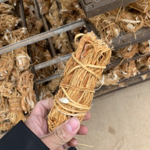 贺州五指毛桃，小扎把