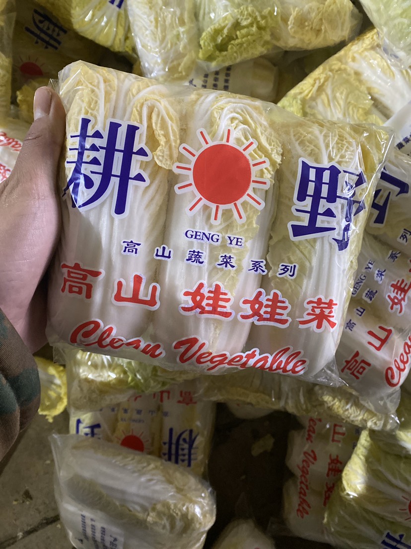 高山娃娃菜 精品