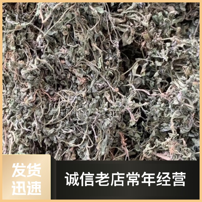 鹅不食草、两斤起发货、支持线上交易、量大从优