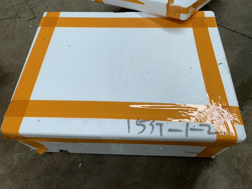 澳洲淡水小龙虾蓝龙虾红螯螯虾小青龙鲜活789/1两以上龙虾